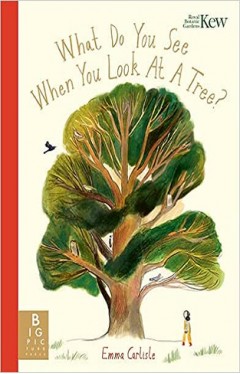 What Do You See When You Look At a Tree?